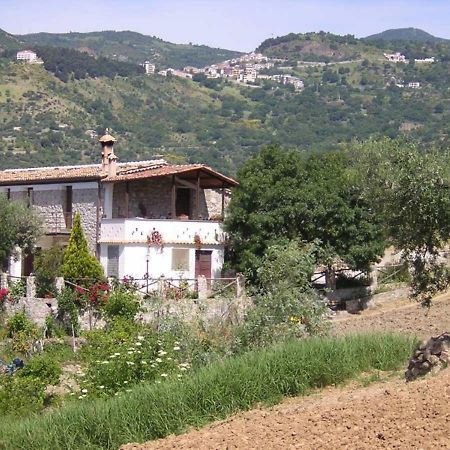 הוילה Cerchiara di Calabria Agriturismo Acampora מראה חיצוני תמונה