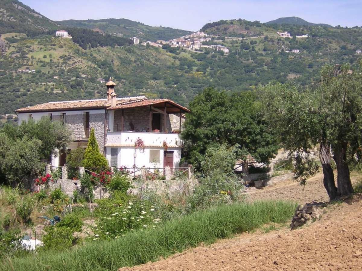 הוילה Cerchiara di Calabria Agriturismo Acampora מראה חיצוני תמונה