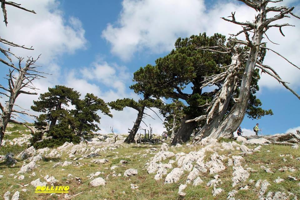 הוילה Cerchiara di Calabria Agriturismo Acampora מראה חיצוני תמונה